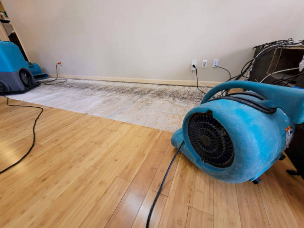 Professional Basement Flood Cleanup technician working in Taylorstown, PA